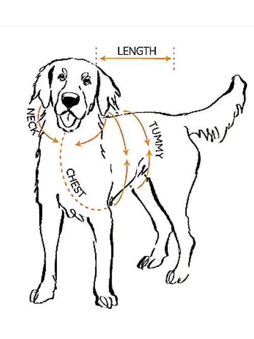 Bardot Skinny Polo Top by Red & Ginger-5