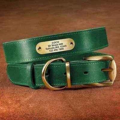 Royal Canine Elegance Personalised Leather Dog Collar & Leash Set ๐พ