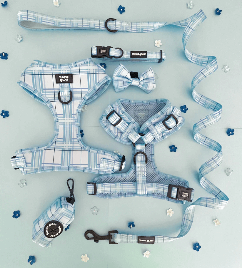 Oxford "Oasis" Dog Bow Tie – by Flossie & Floof-5