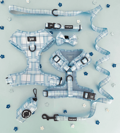 Oxford "Oasis" Dog Bow Tie – by Flossie & Floof-5