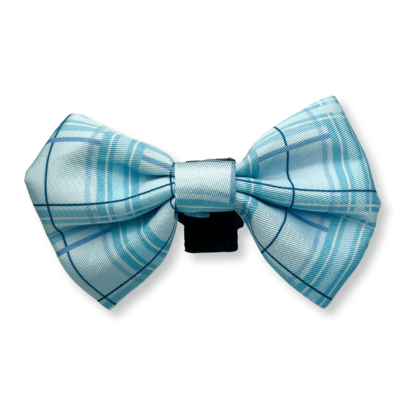 Oxford "Oasis" Dog Bow Tie – by Flossie & Floof-0