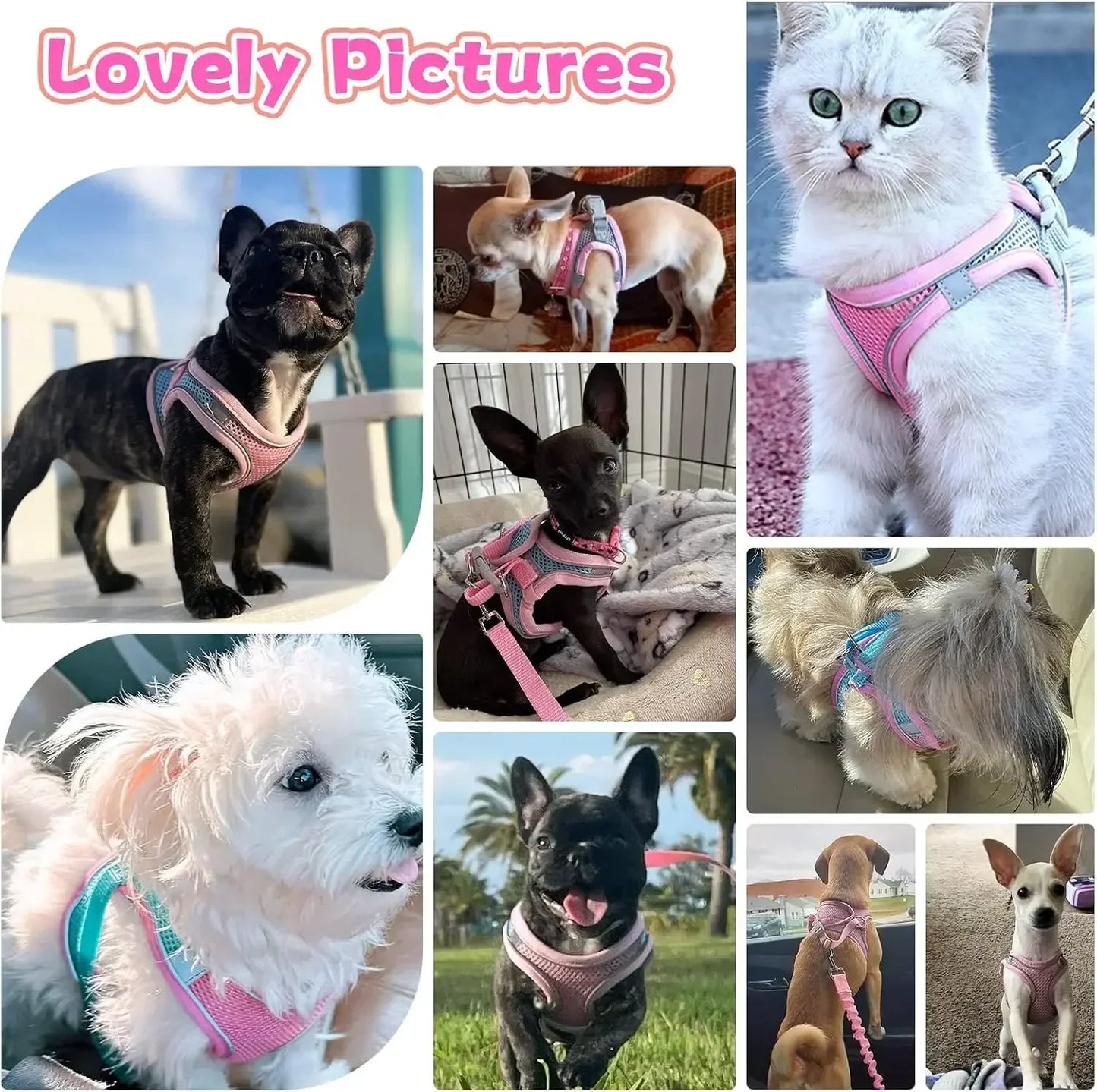 Escape-Proof Dog Harness and Leash Set for Small Dogs Cats Puppy Harness Vest Reflective Kitten Walking Lead Leash Pet Supplies