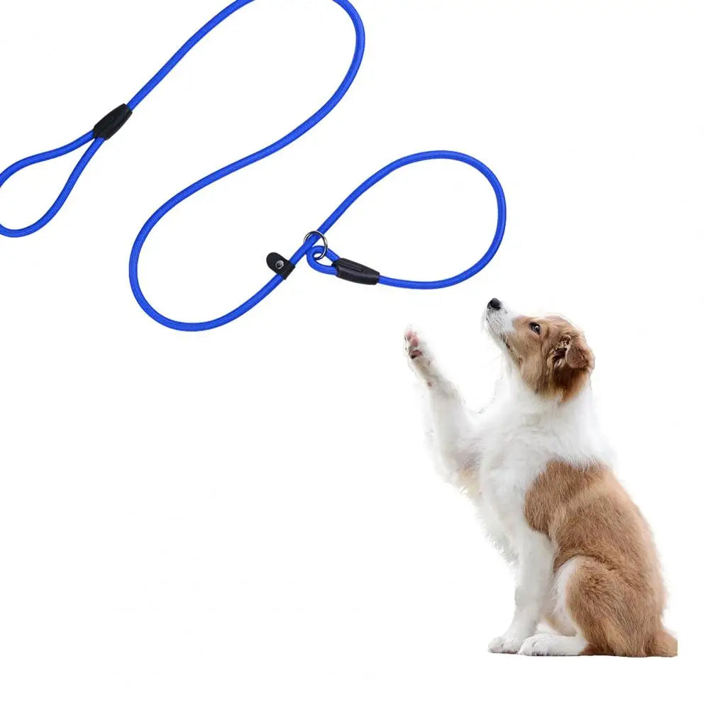 Dog Leash Strong Slip Lead Adjustable Loop High-density Nylon Braided Rope  Training Leash for Large Medium Small Dogs