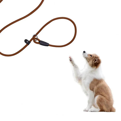 Dog Leash Strong Slip Lead Adjustable Loop High-density Nylon Braided Rope  Training Leash for Large Medium Small Dogs