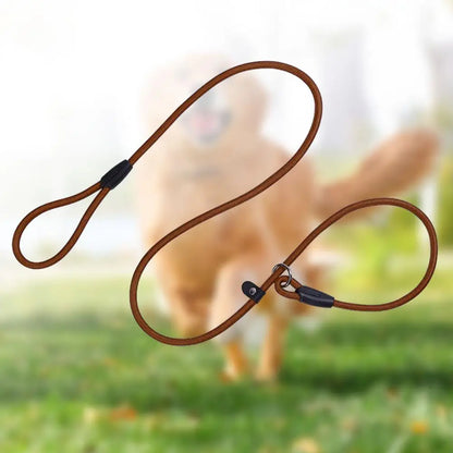 Dog Leash Strong Slip Lead Adjustable Loop High-density Nylon Braided Rope  Training Leash for Large Medium Small Dogs