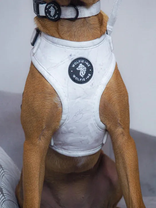 ALASKA Adjustable Harness by Wolfie + Me-2